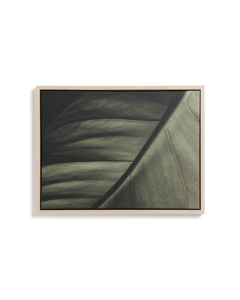 Фотография листа Foliae размер 32,5 x 42,5 см