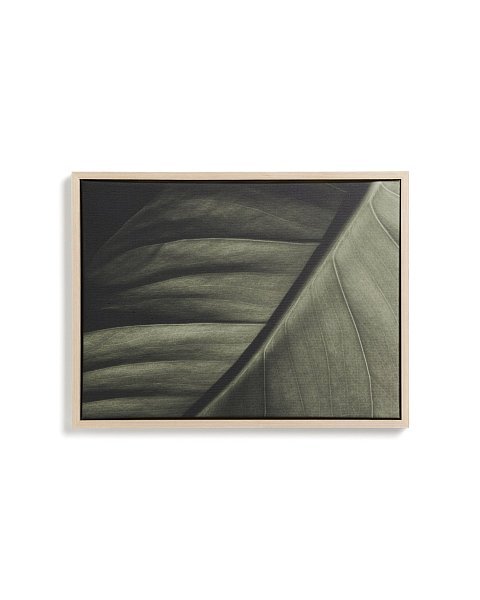 Фотография листа Foliae размер 32,5 x 42,5 см