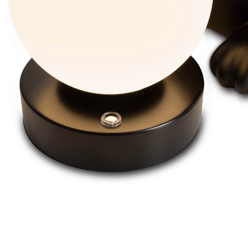 Настольный светильник Freya FR5607TL-01B