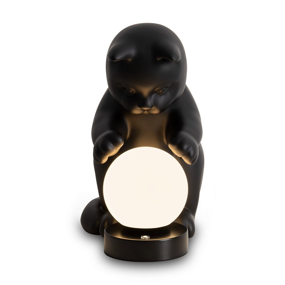 Настольный светильник Freya FR5607TL-01B