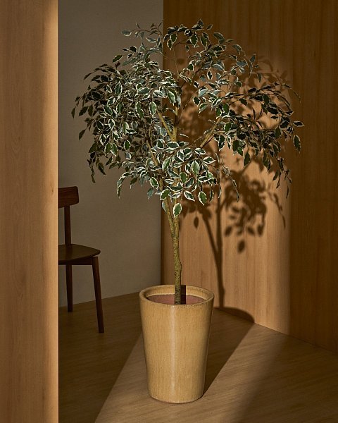 Искусственный фикус Benjamina в черном горшке, 180 см