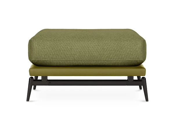 Domus Kiwi / Austin 12